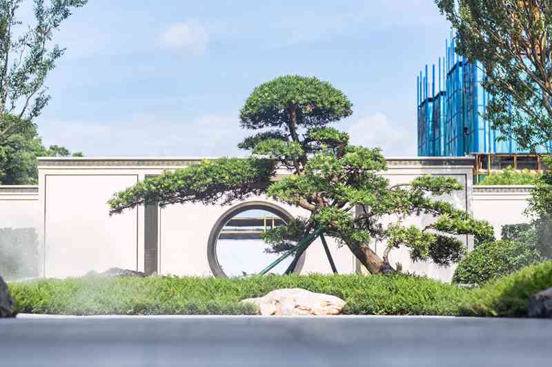 龙光天曜