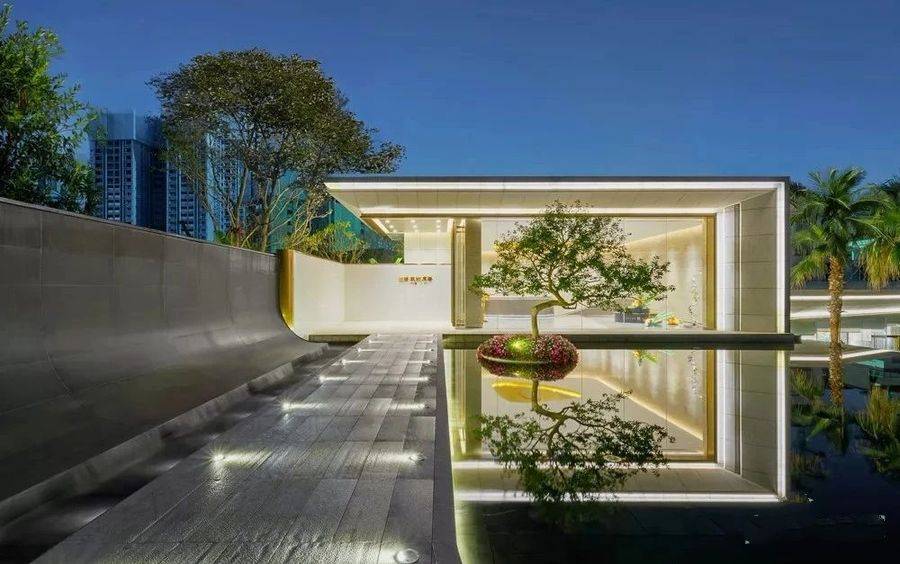 龙湖双珑原著
