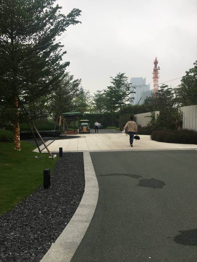 龙湖双珑原著
