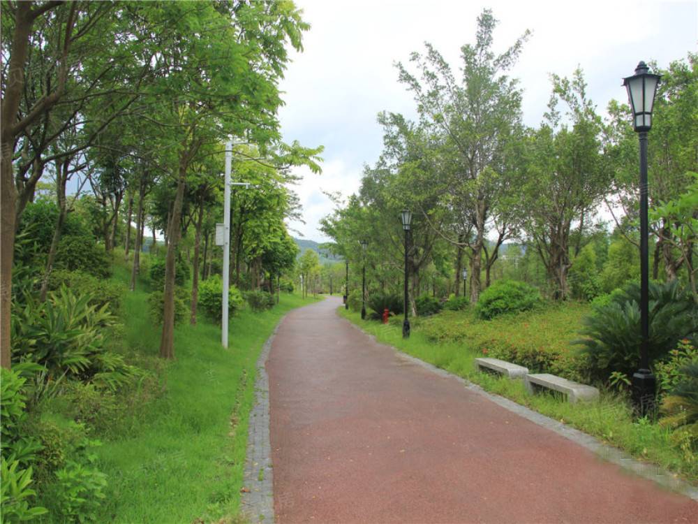 龙湖双珑原著