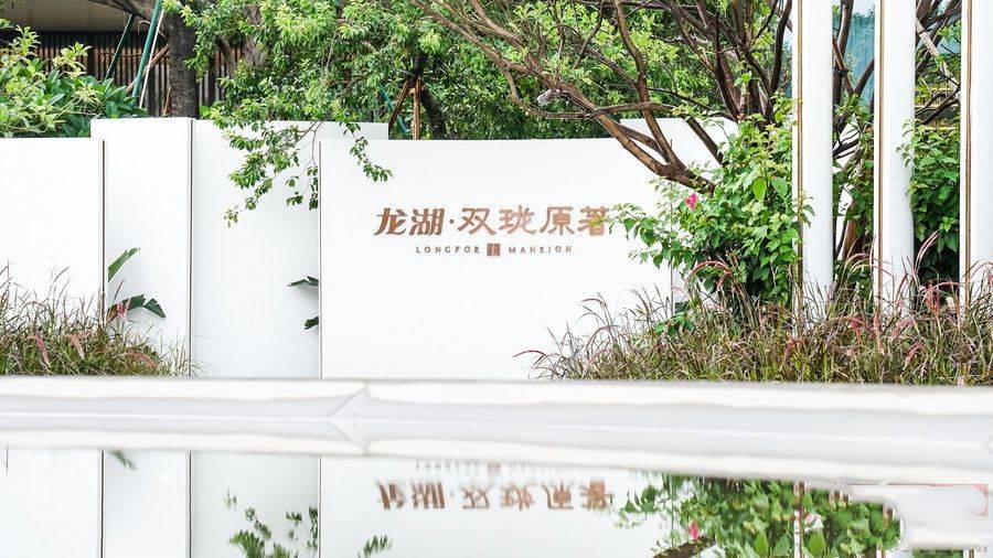 龙湖双珑原著