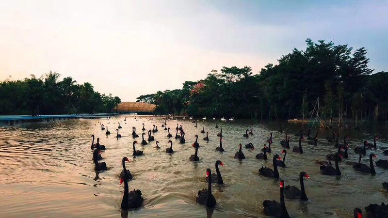 广深恒大国际旅游城