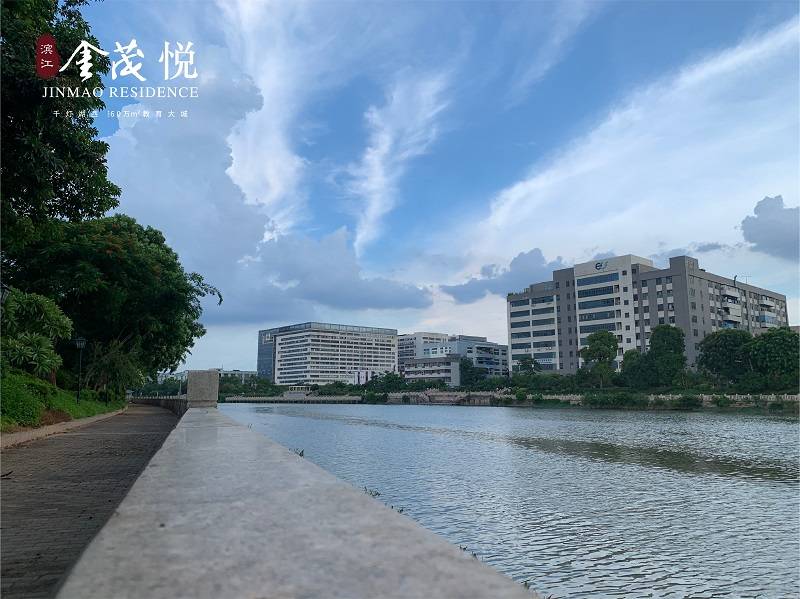 滨江金茂悦