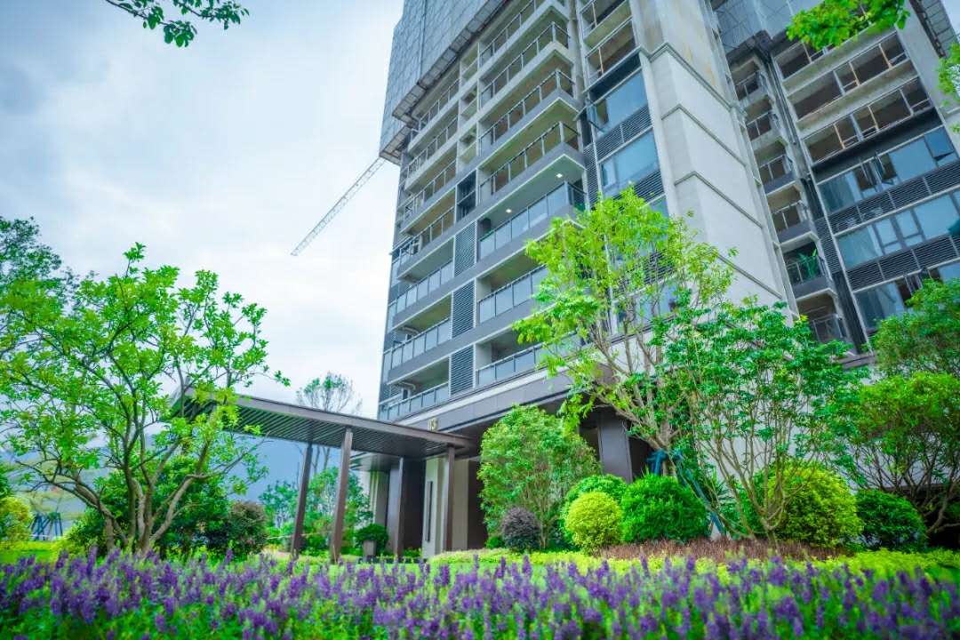 时代星湖印记