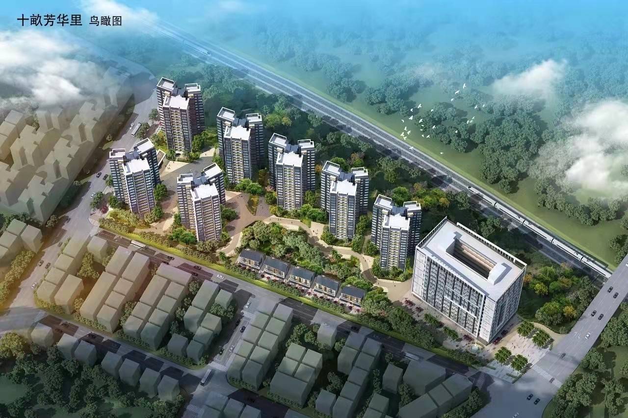 十畝芳华里