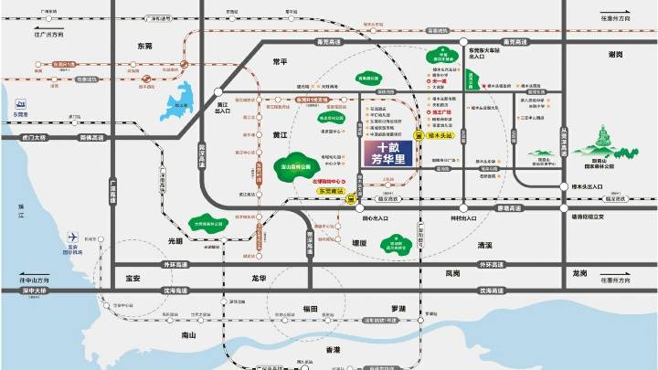 十畝芳华里