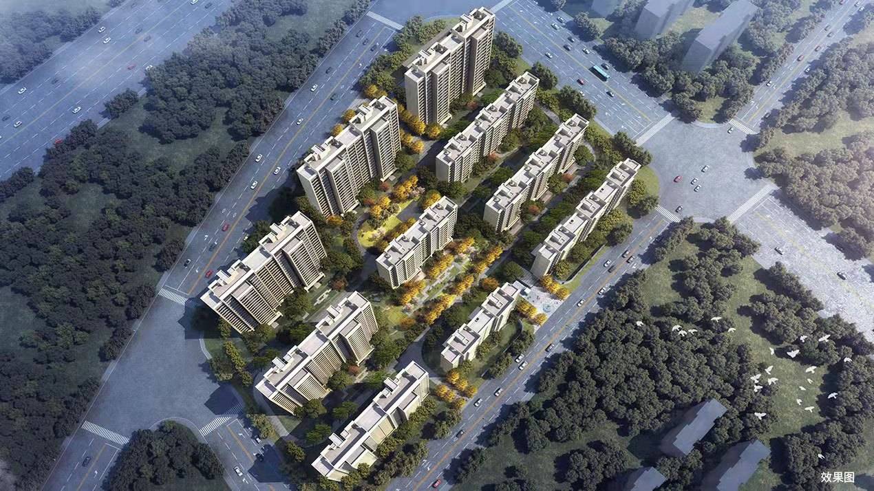 湖心明悦