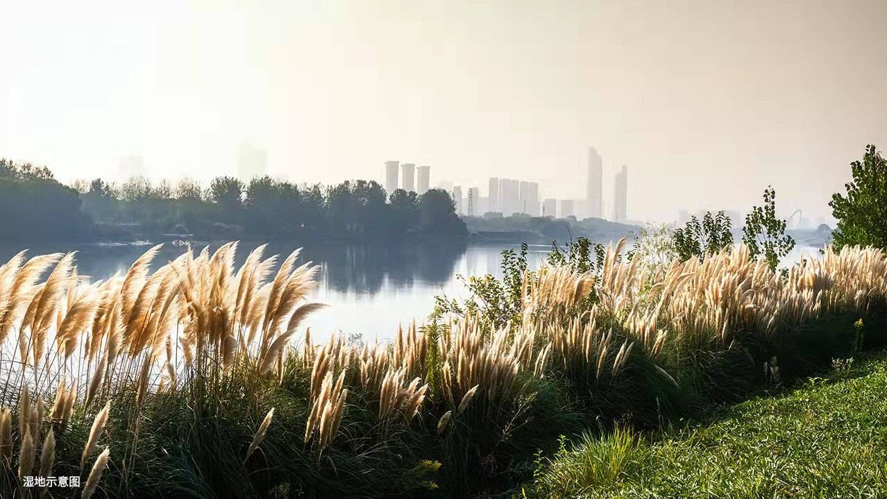 湖心明悦