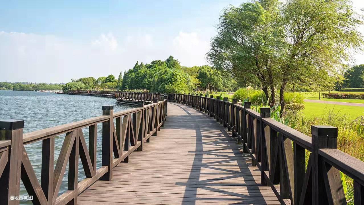 湖心明悦