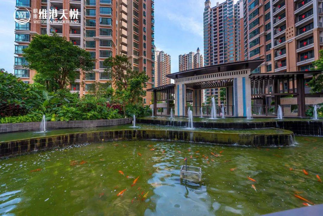 朝南维港天悦