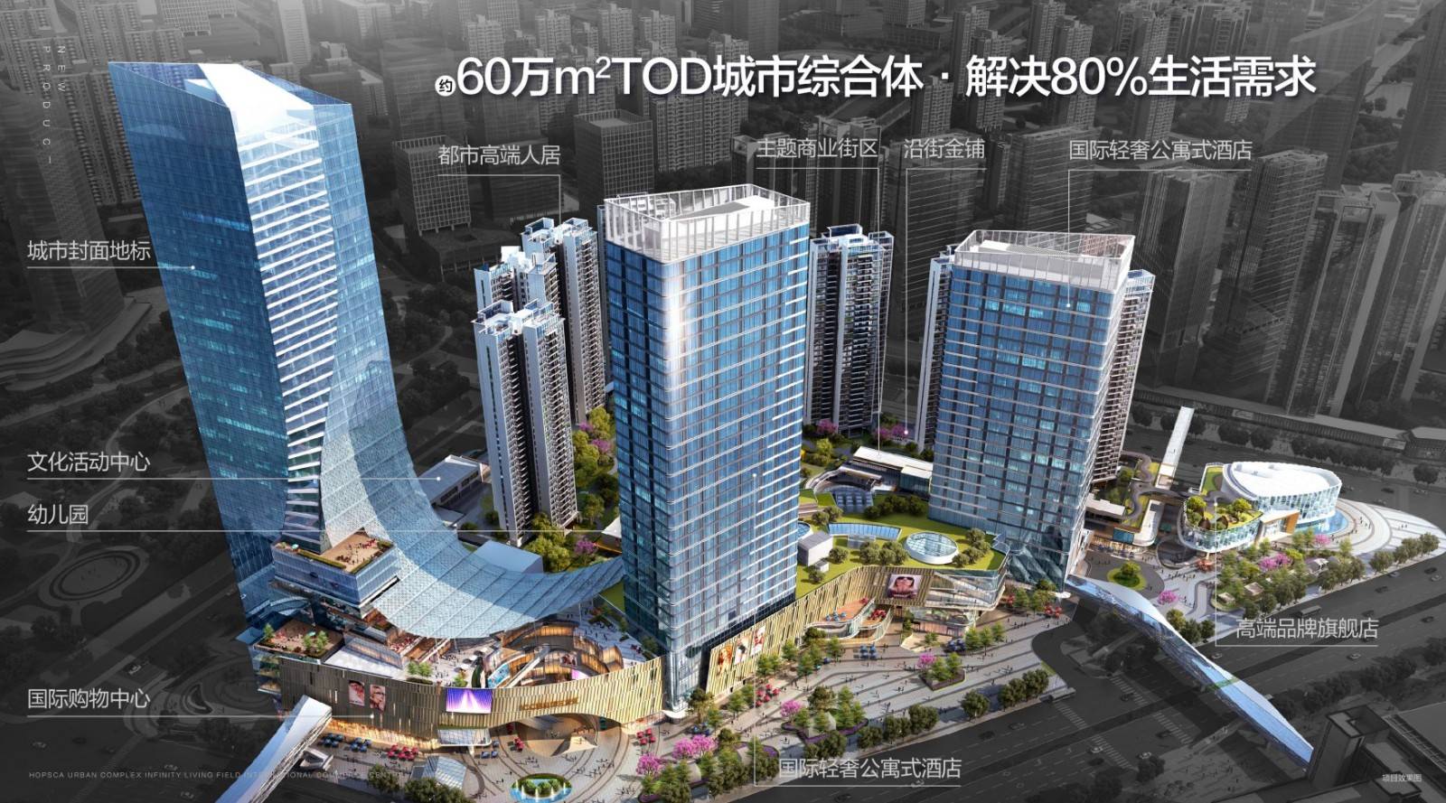 碧桂园三龙汇泷域
