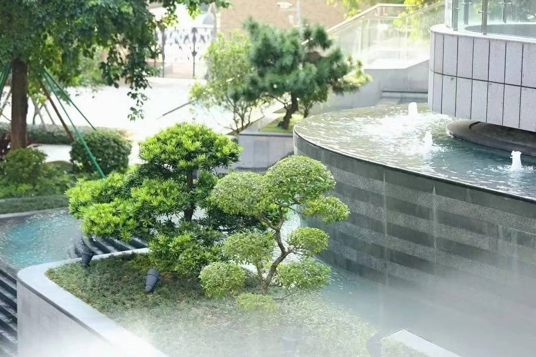 金鹰半山花园