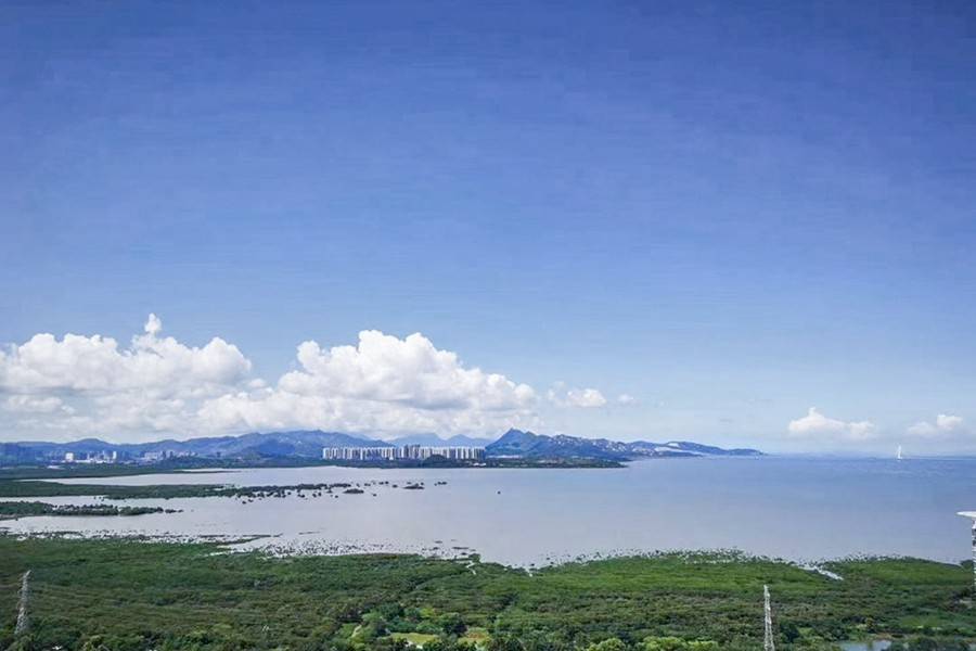 中洲湾迎海