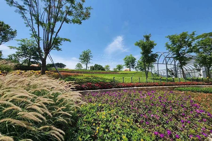 特发观月台
