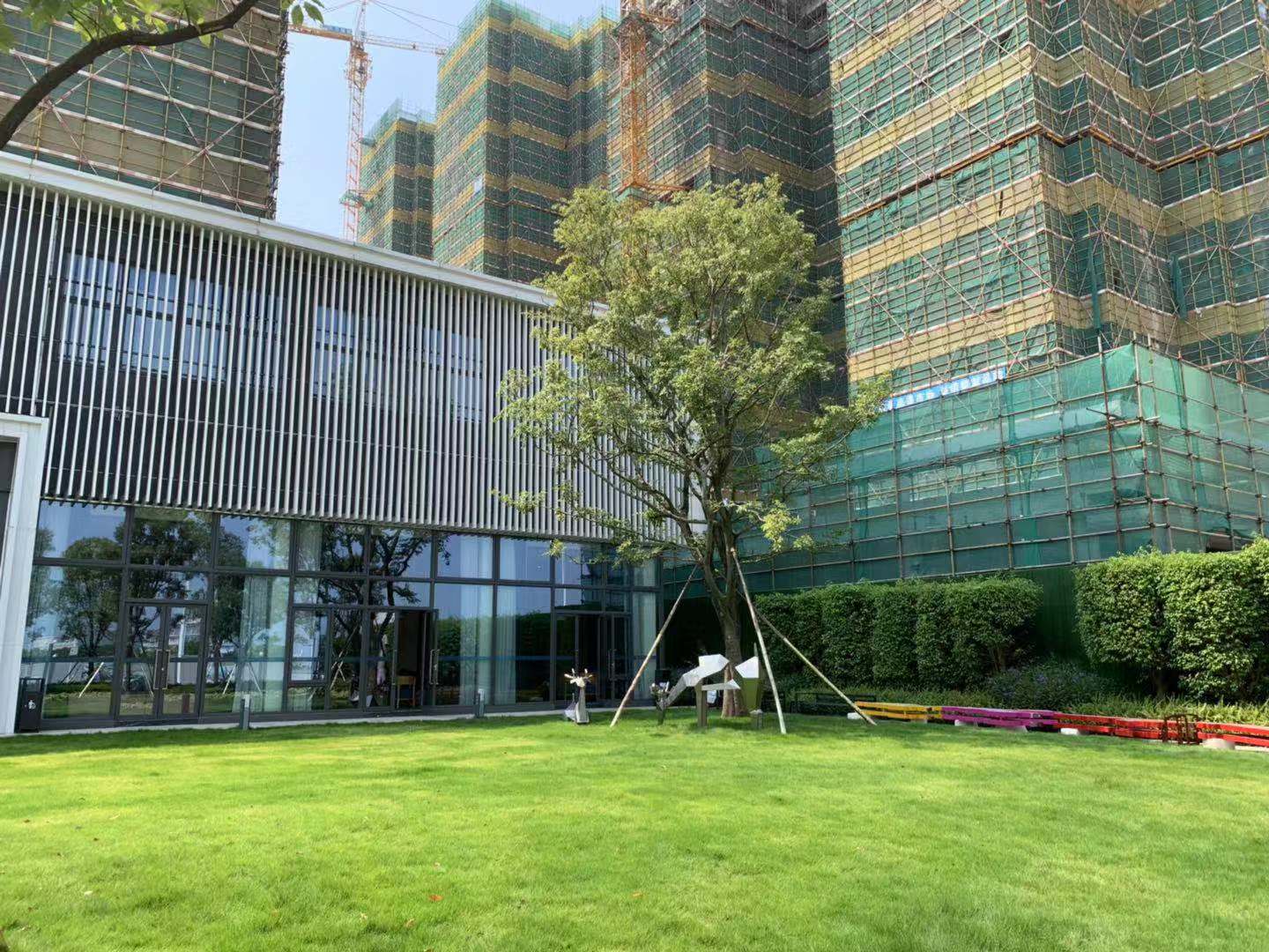 富力金禧