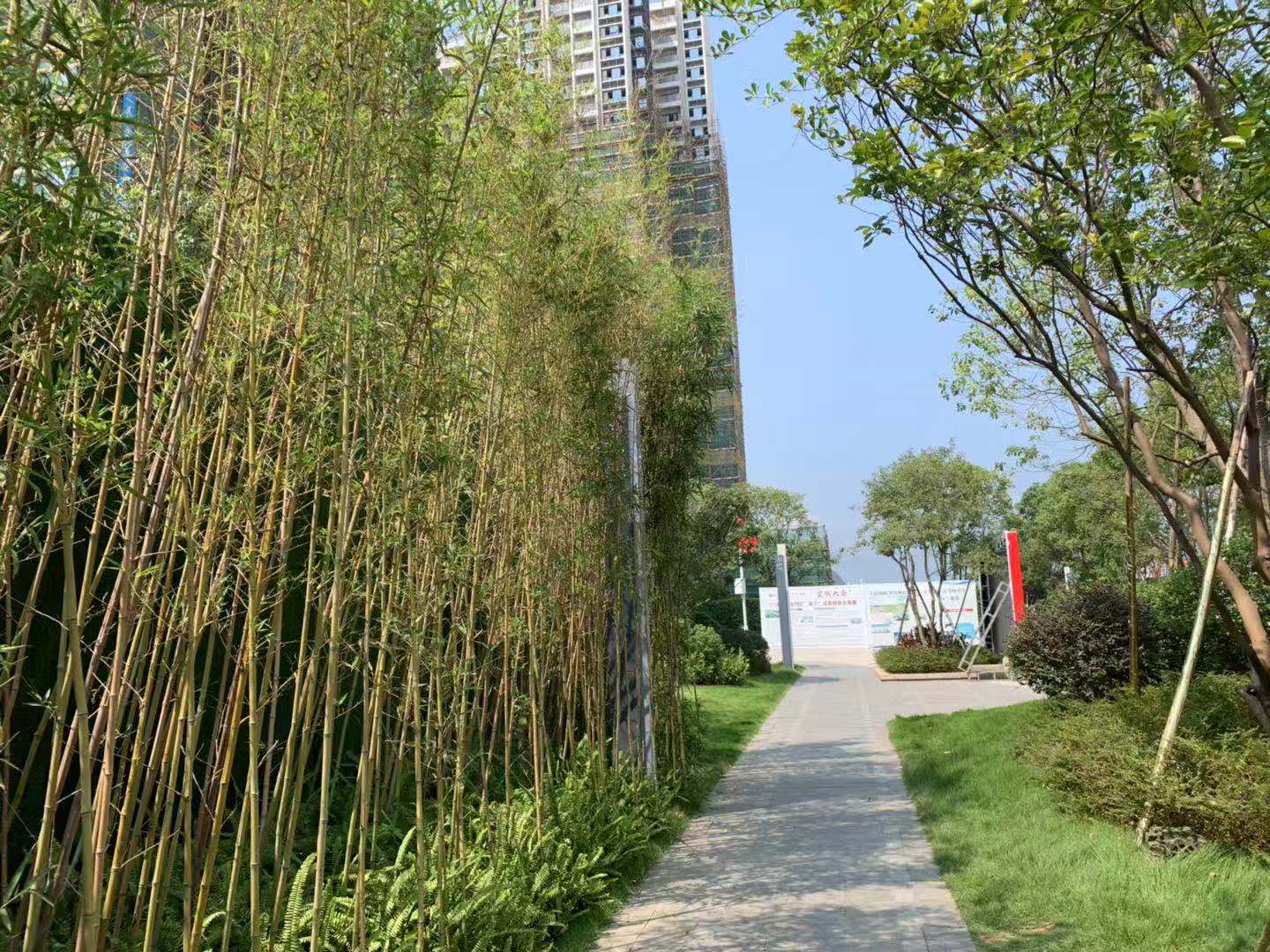 富力金禧