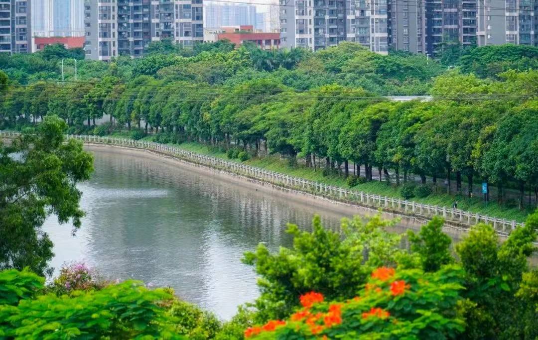 花语和岸