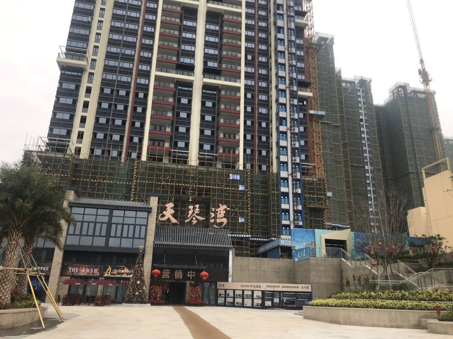 天琴湾花园