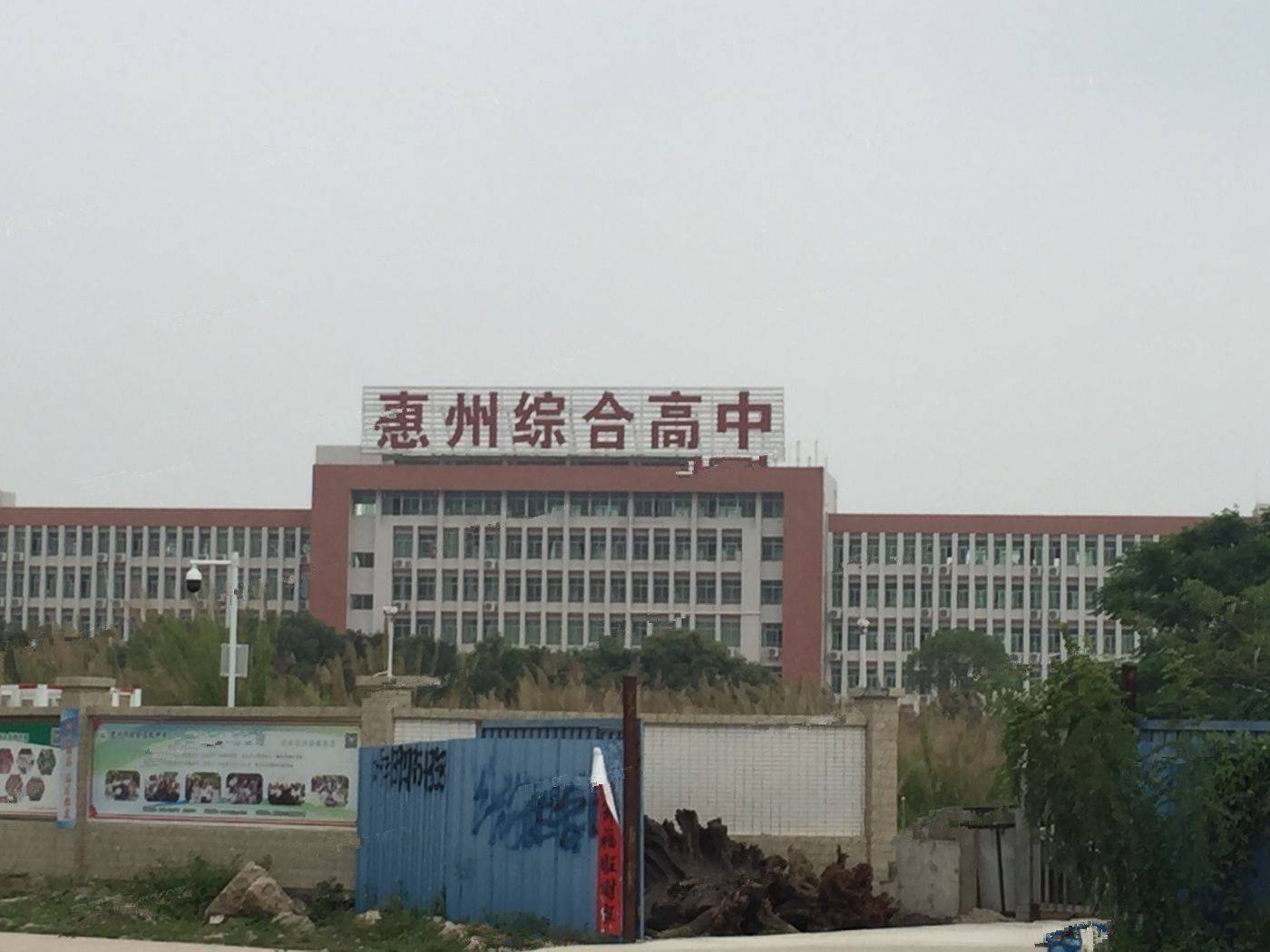 金悦华府