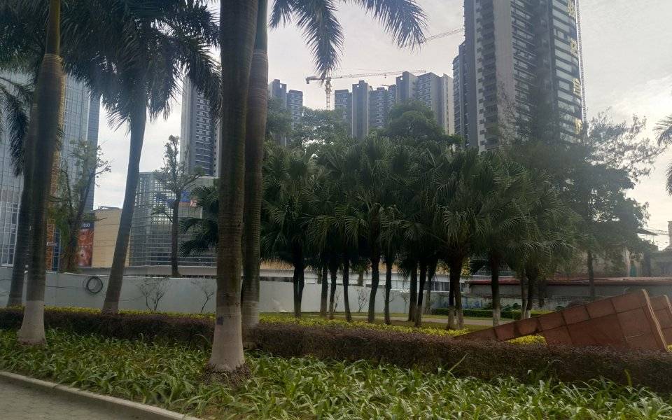 海骏达宫馆