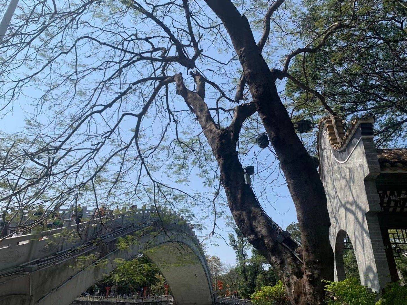 敏捷珑玥府