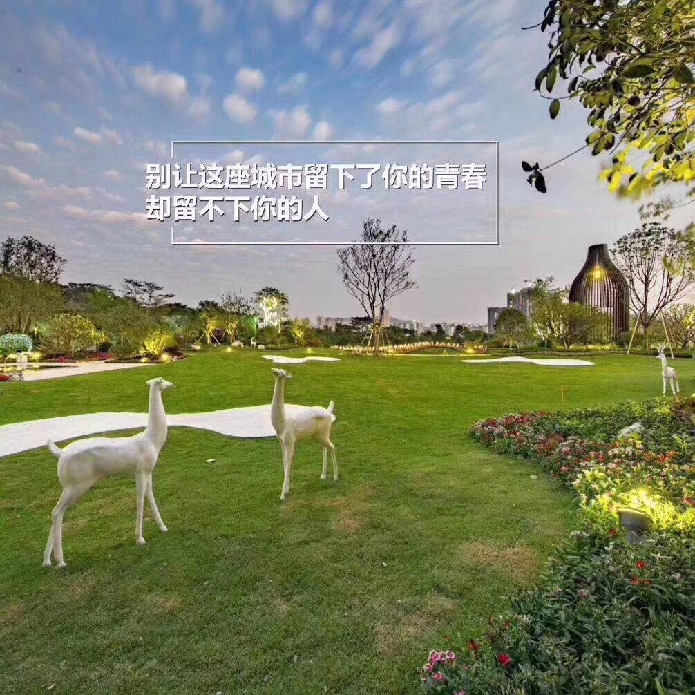 金色年华