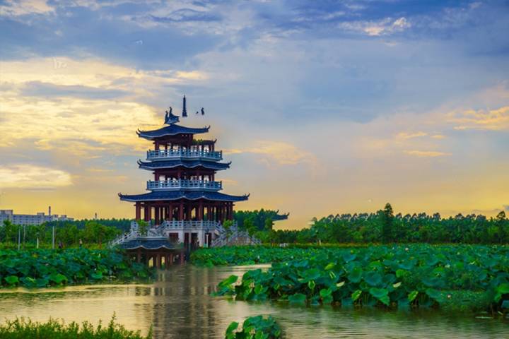 华阳湖1号