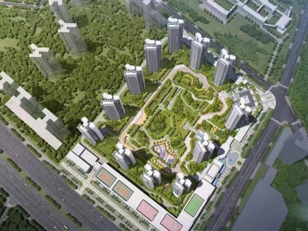 江鹤1号