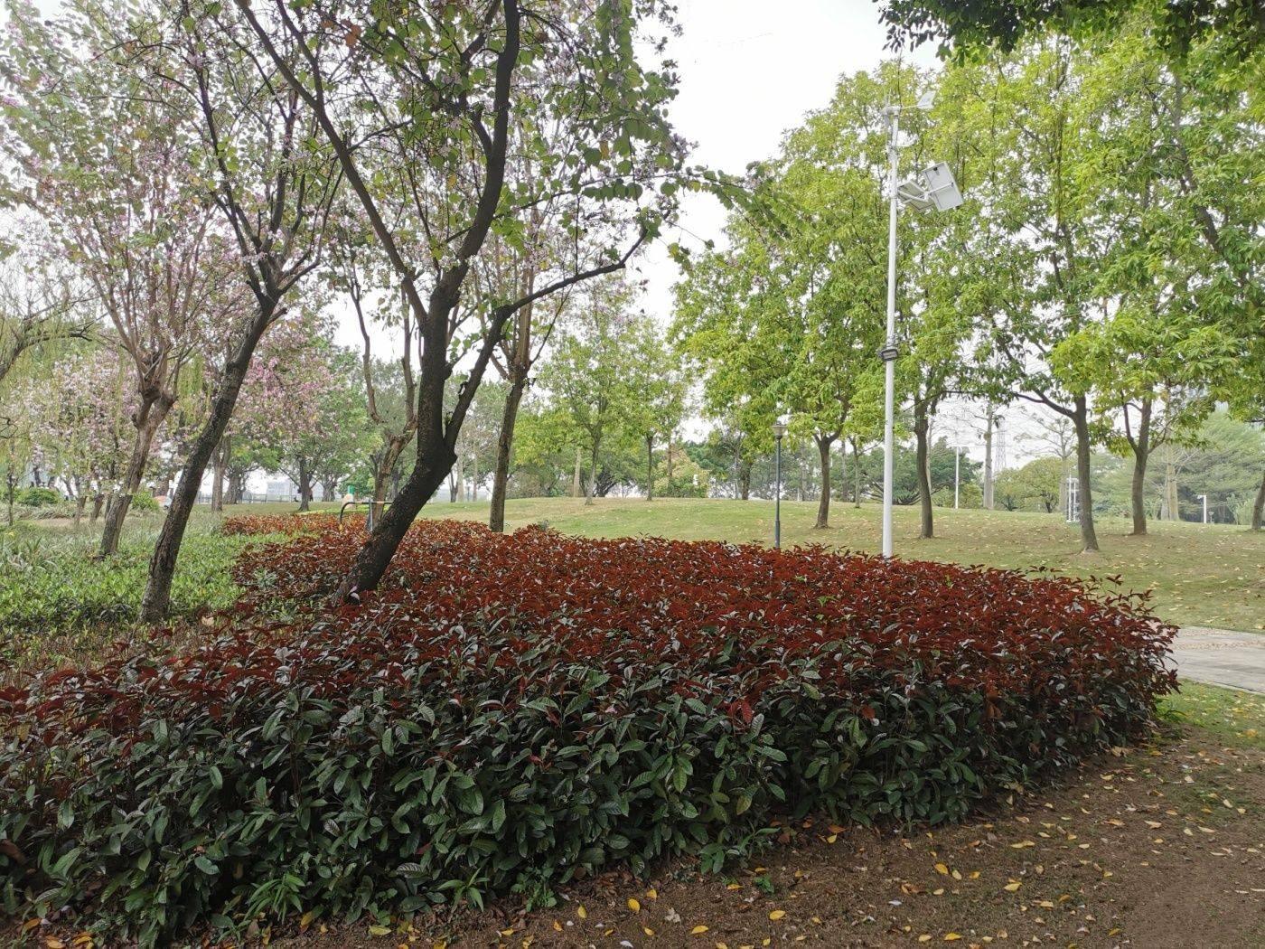 国美智慧城