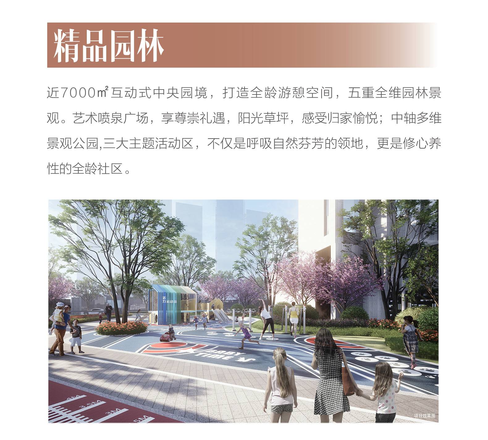 紫轩居