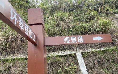 桑泰龙樾府