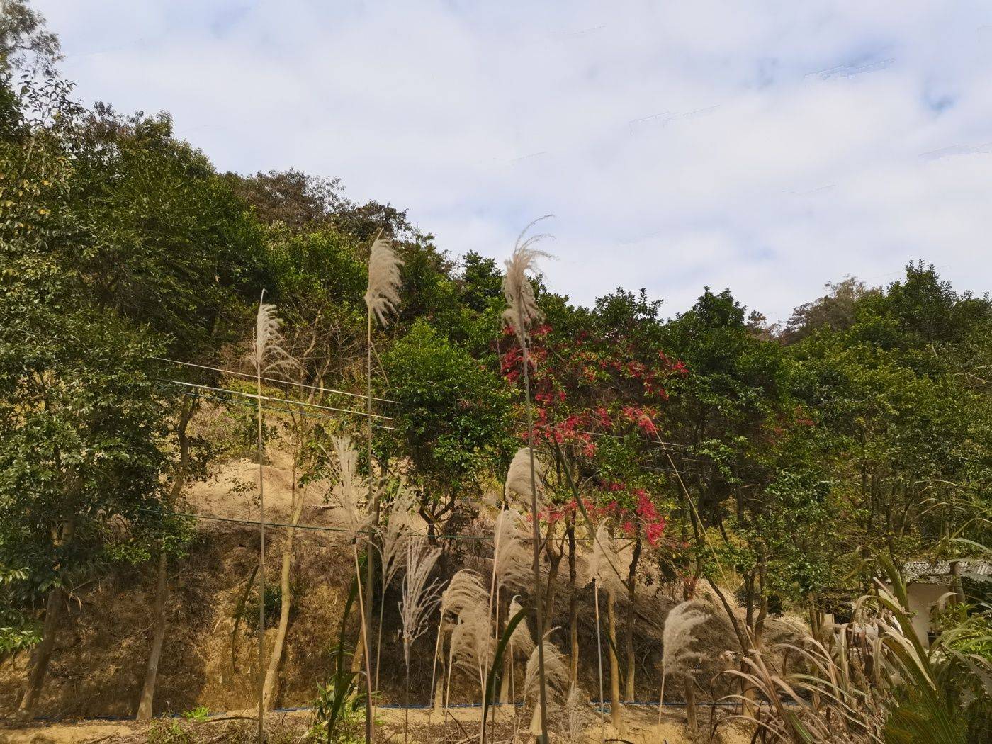 雅居乐滨江雅苑