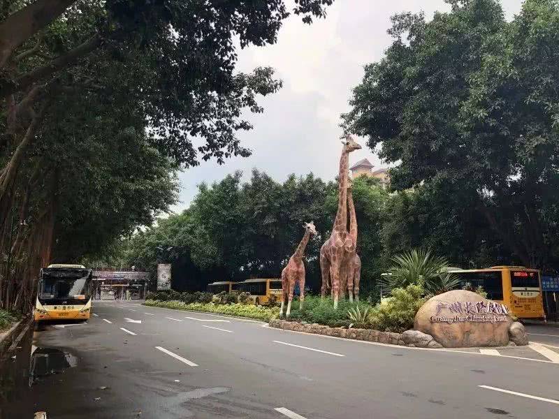 碧桂园藏珑府