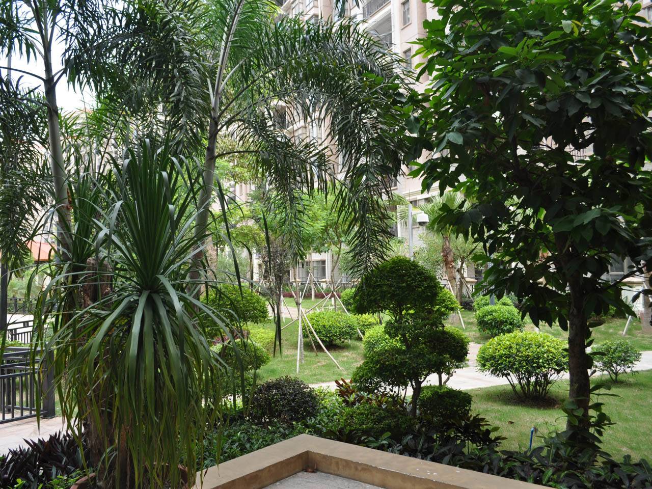 东江学府
