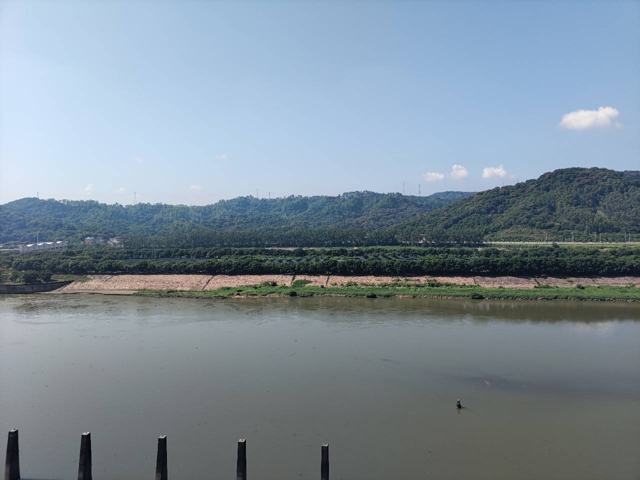 成峰水岸丽都