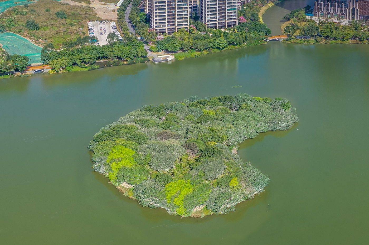 世茂弘阳绿岛湖公馆