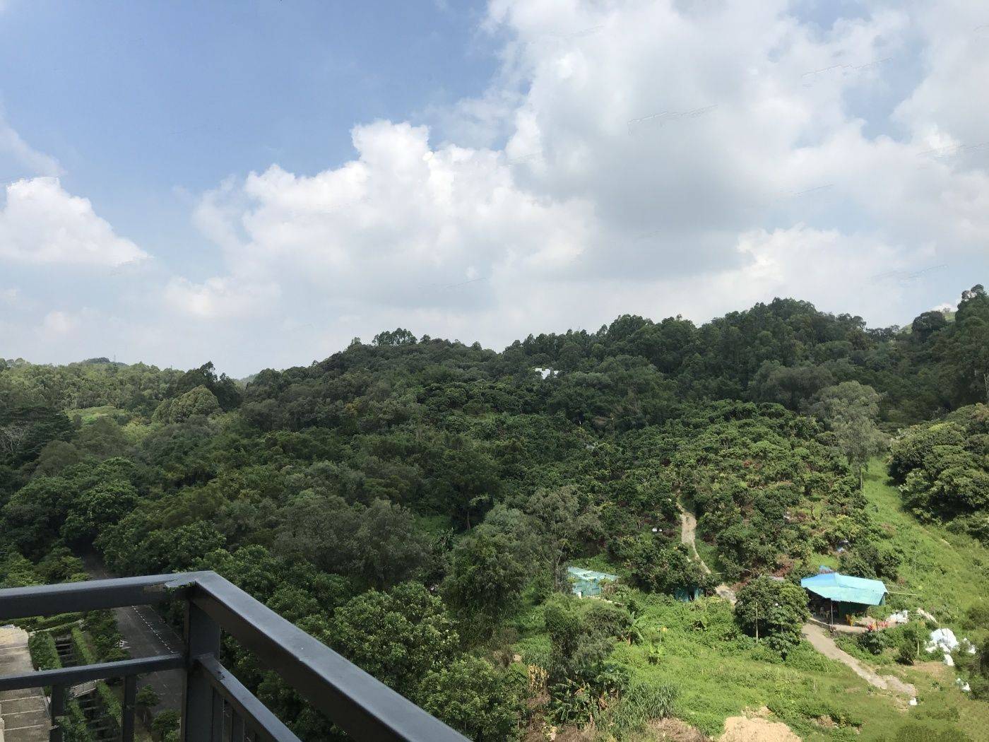华海山屿海