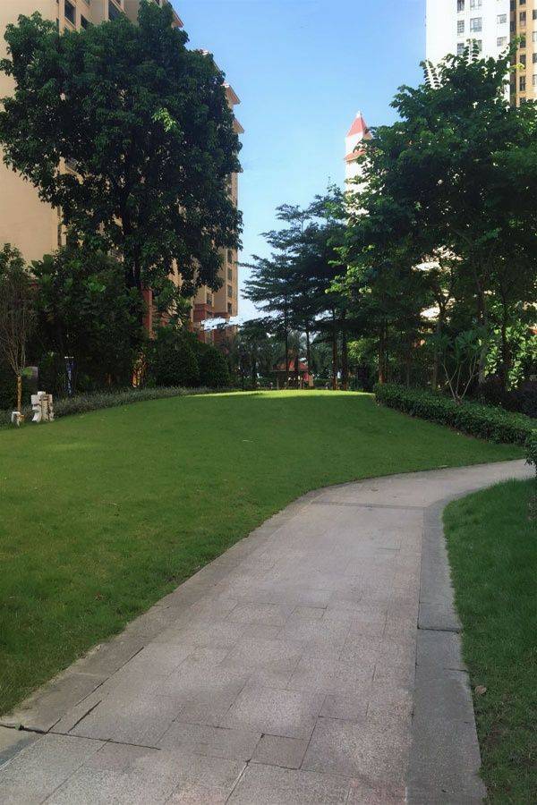云星钱隆御景