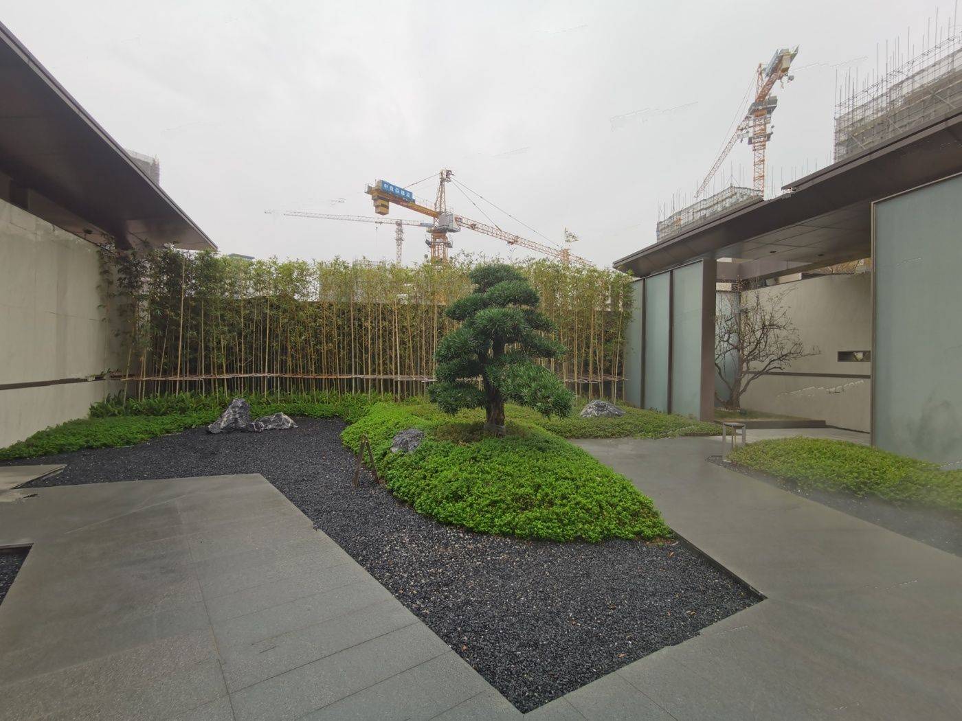 桐悦花园