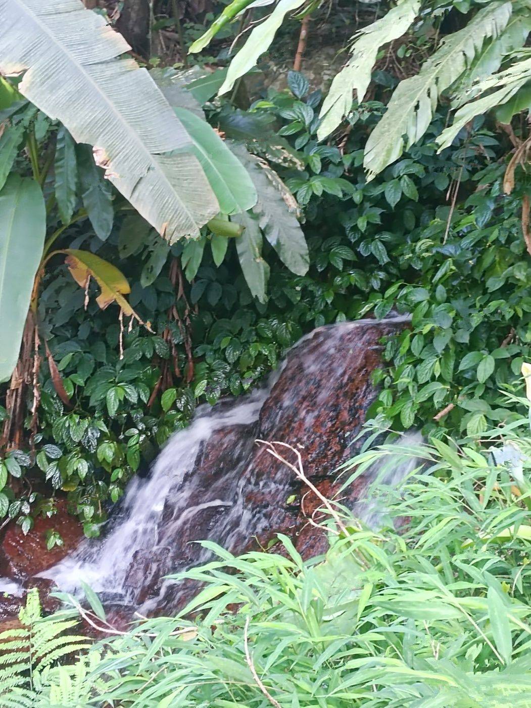 御景天峦府