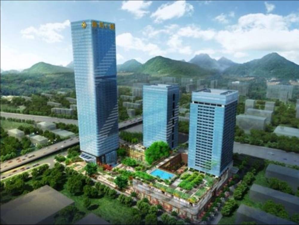 金中环天赋