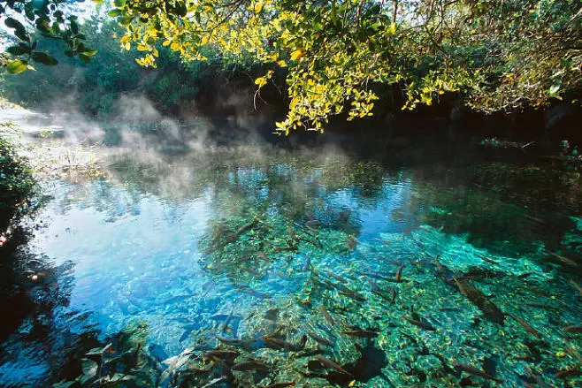 山水芳邻