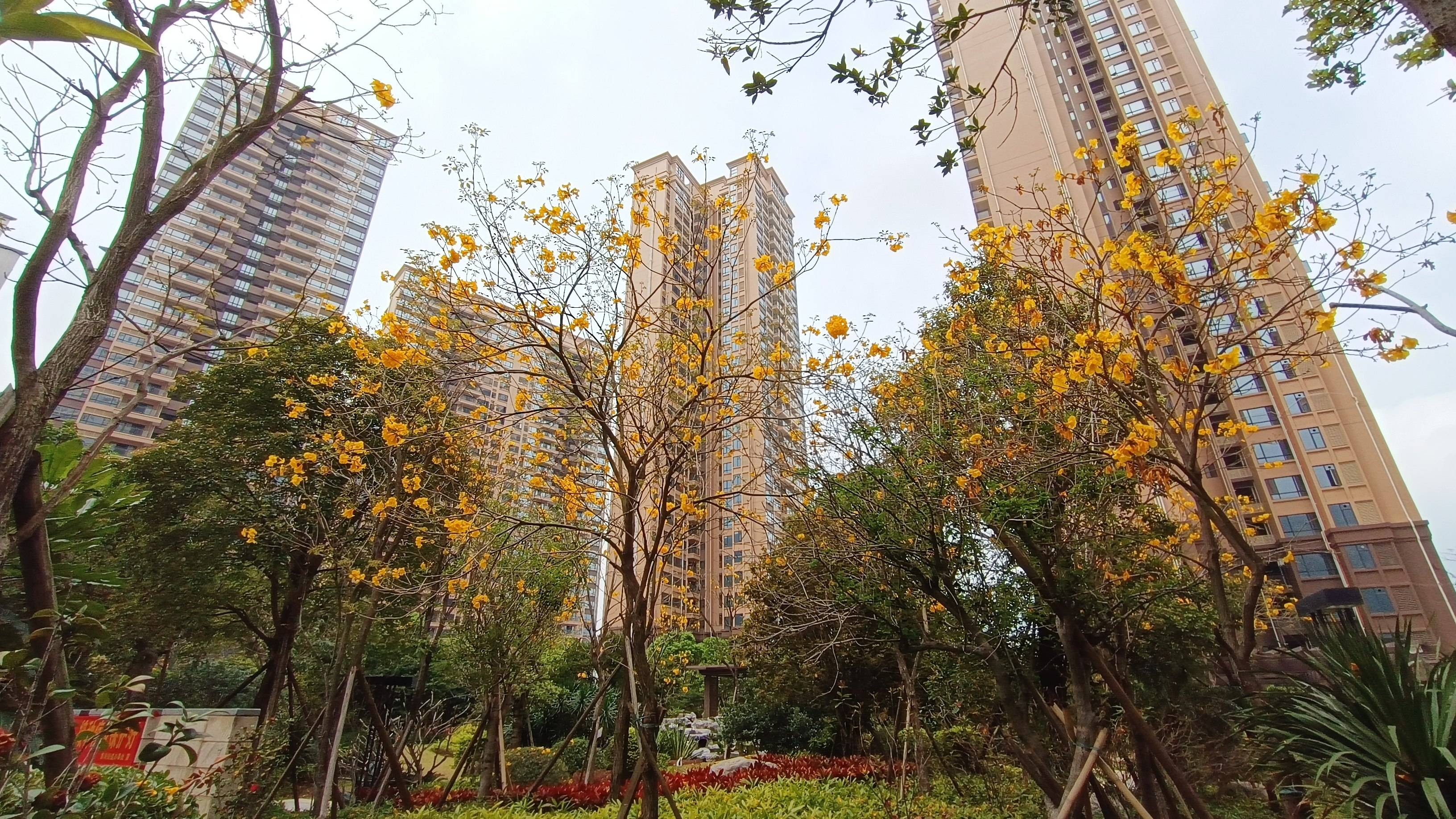 双城时代