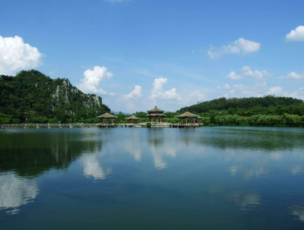 鼎湖山1号