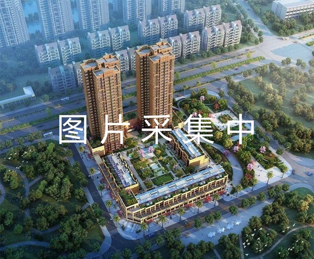 德盛尚峰