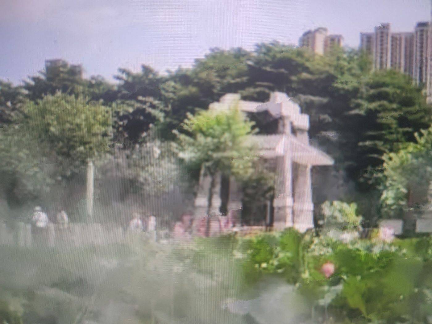 碧桂园世纪中心