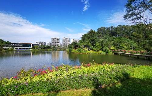 碧桂园湖光山色