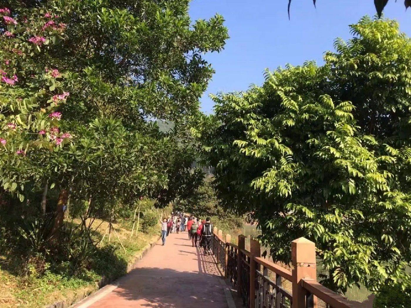 珑远首铸-森湖翠珑湾