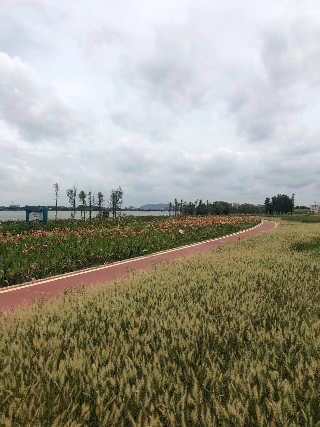 樵晖新城