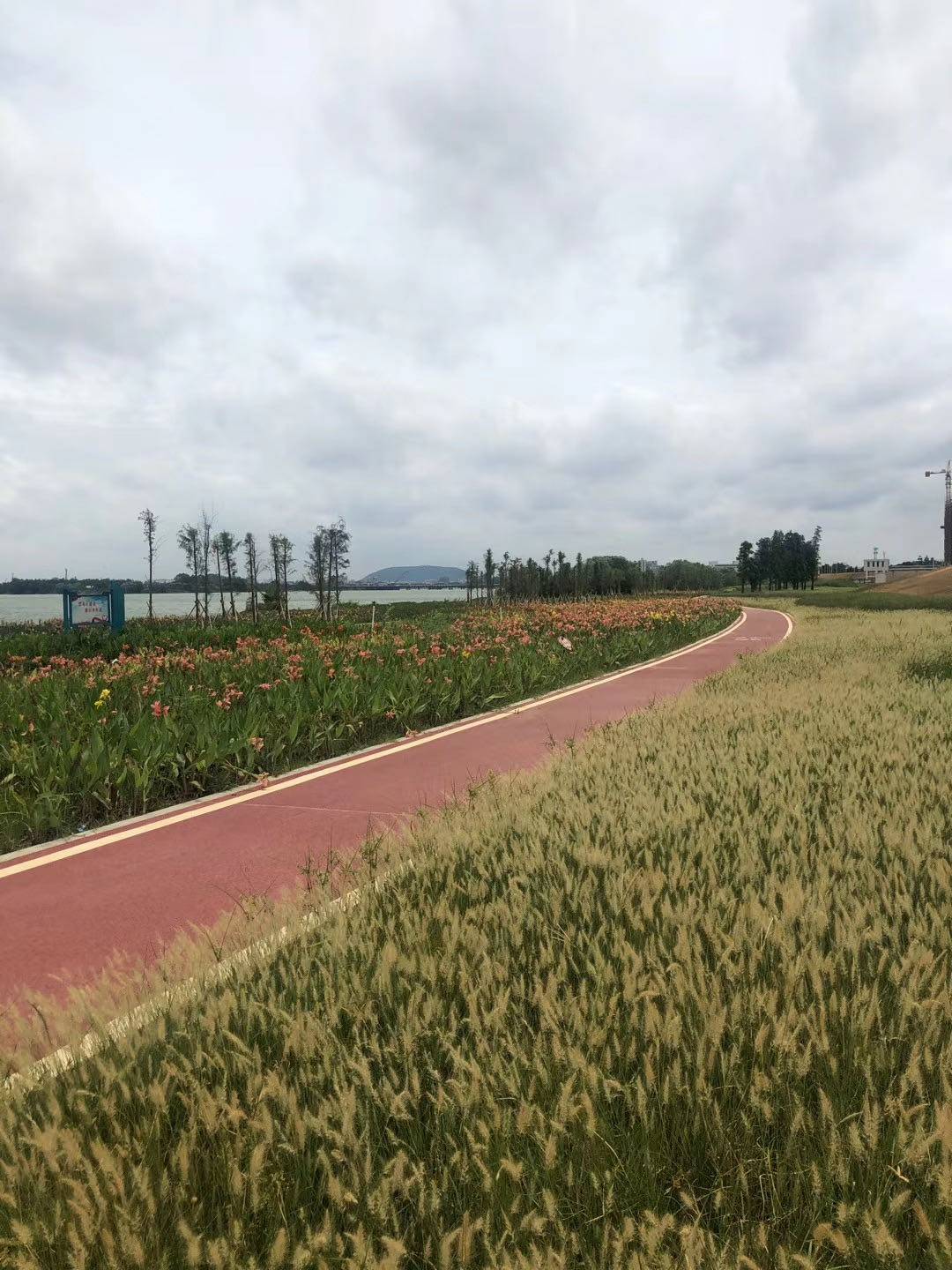 樵晖新城